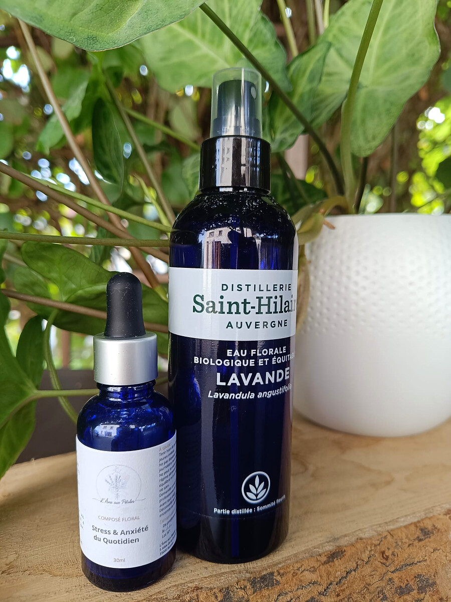 Renouvellement : Stress & Anxiété